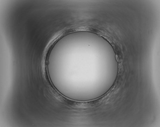 X0000112950293200908241032