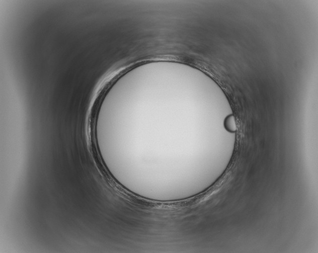 X0000112950294200908241032