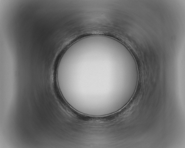 X0000112950299200908241032