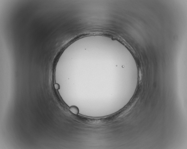 X0000112950301200908241032