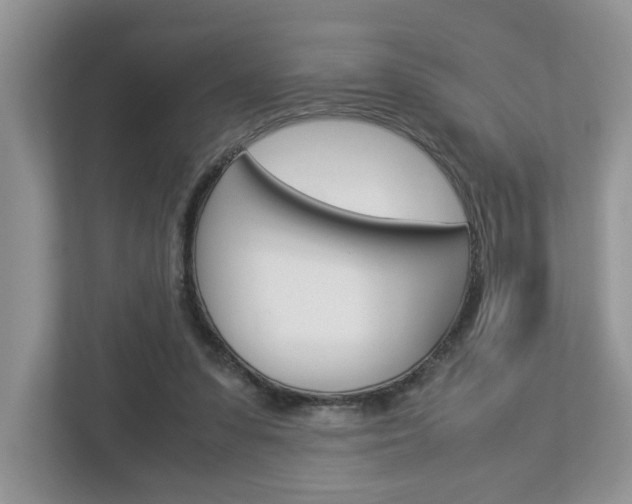 X0000112950303200908241032