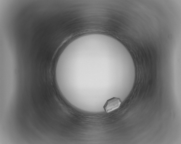 X0000112950304200908241032