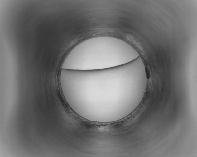 X0000112950306200908241032