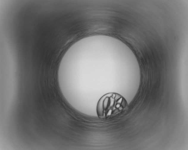 X0000112950308200908241032