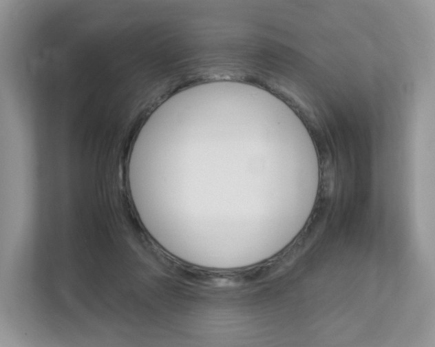 X0000112950310200908241032