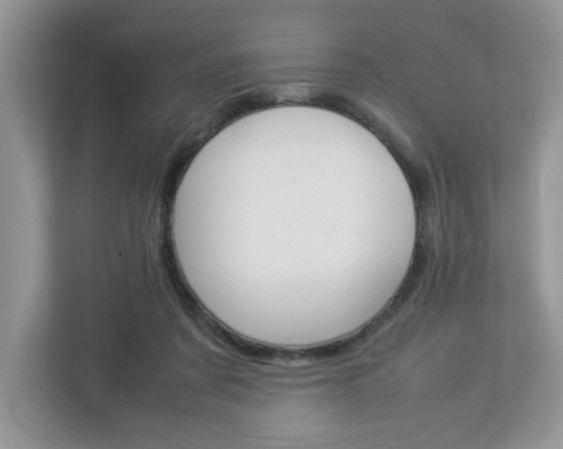 X0000112950311200908241032
