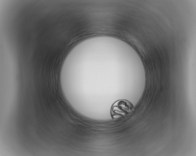 X0000112950312200908241032
