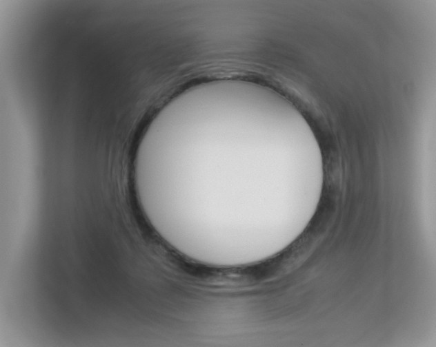 X0000112950315200908241032