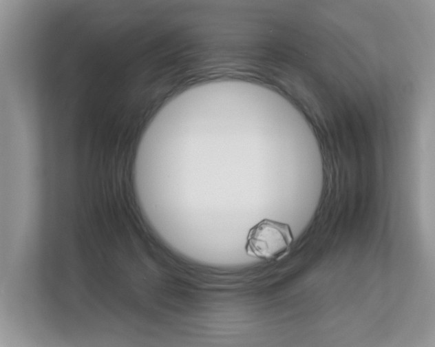 X0000112950316200908241032