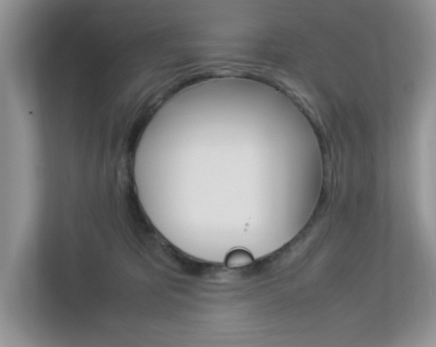 X0000112950325200908241032