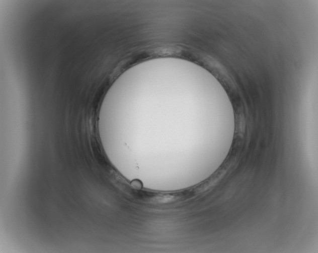 X0000112950326200908241032