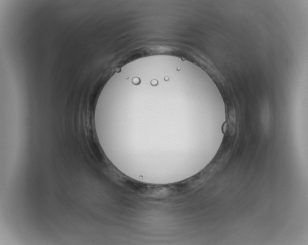 X0000112950330200908241032