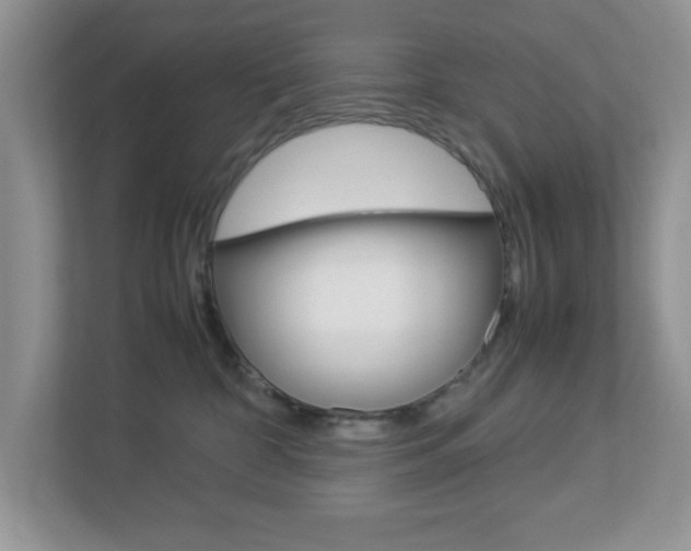 X0000112950332200908241032