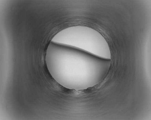 X0000112950333200908241032