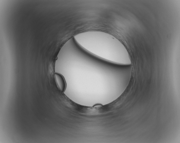 X0000112950335200908241032