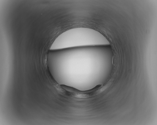 X0000112950336200908241032