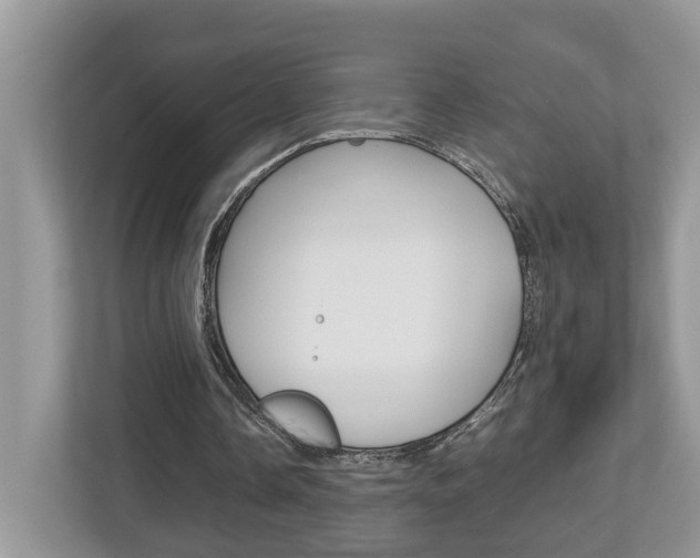 X0000112950338200908241031