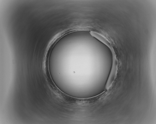 X0000112950340200908241031