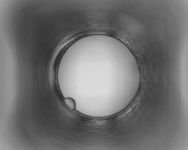 X0000112950343200908241031