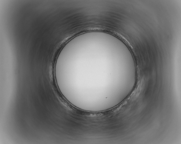 X0000112950345200908241031