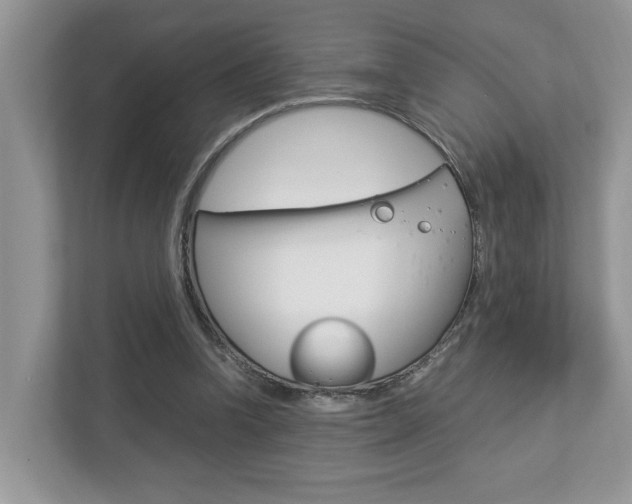 X0000112950346200908241031