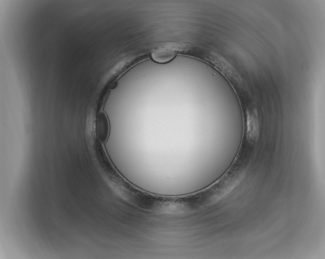 X0000112950348200908241031