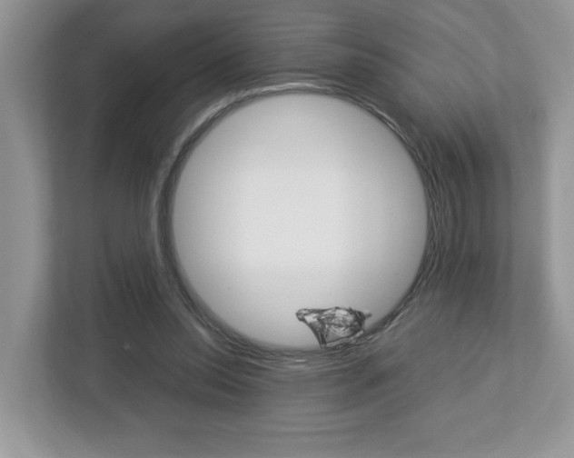 X0000112950350200908241031