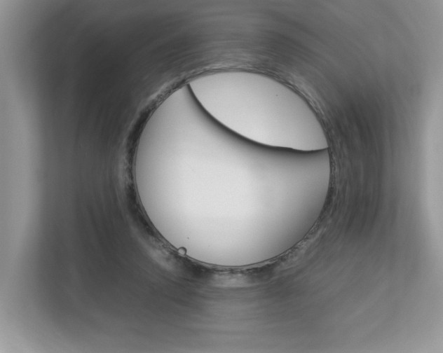 X0000112950354200908241032