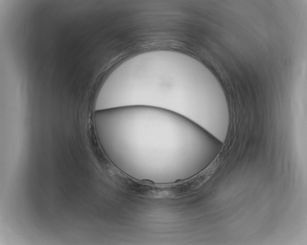 X0000112950356200908241032