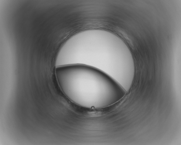 X0000112950362200908241032