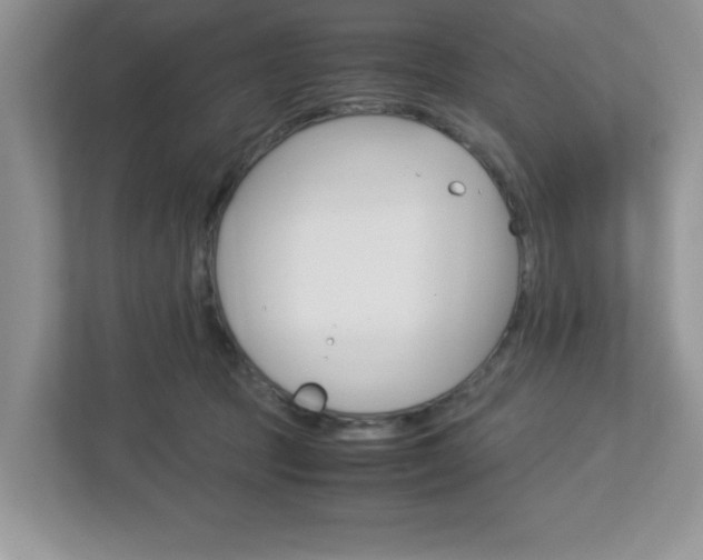 X0000112950369200908241032