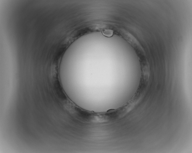 X0000112950372200908241032