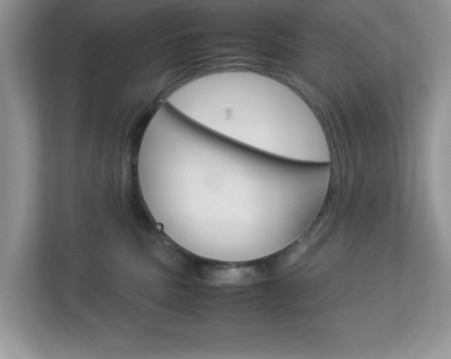 X0000112950379200908241032