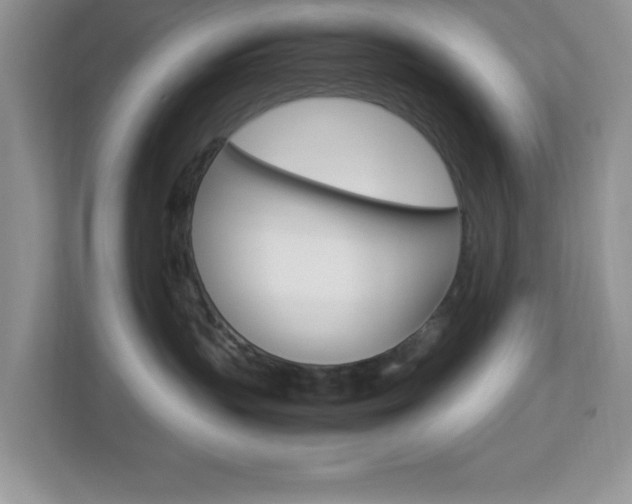 X0000112950383200908241032