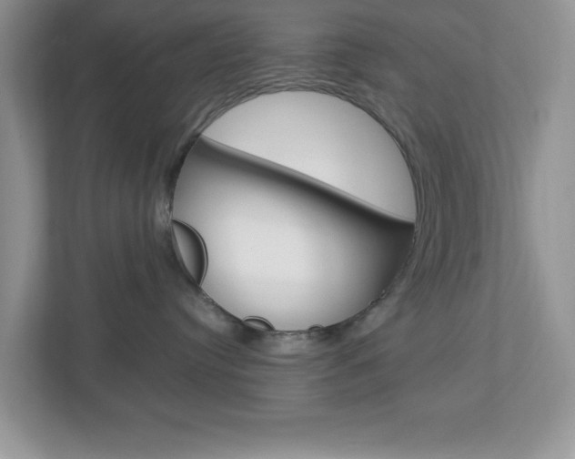 X0000112950384200908241032