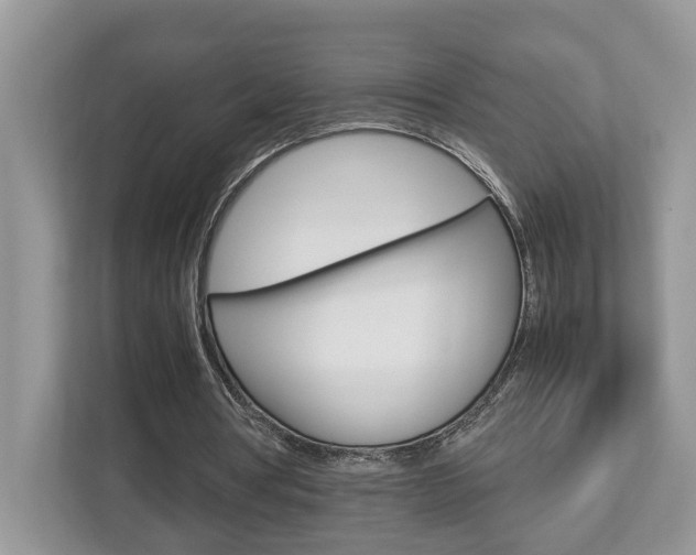X0000112950386200908241031