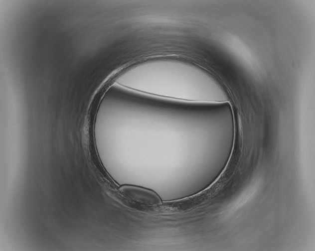 X0000112950387200908241031