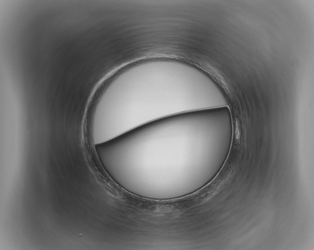 X0000112950388200908241031