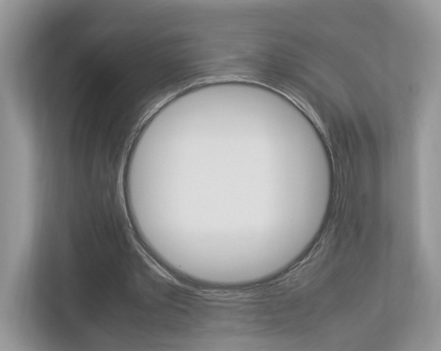 X0000112950389200908241031