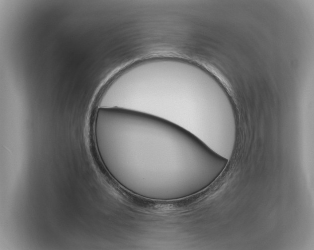 X0000112950391200908241031