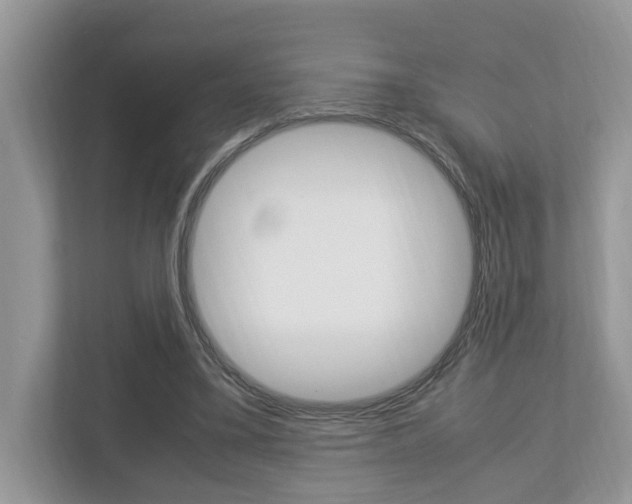 X0000112950395200908241031