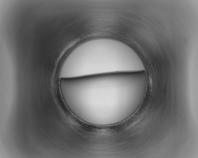 X0000112950396200908241031