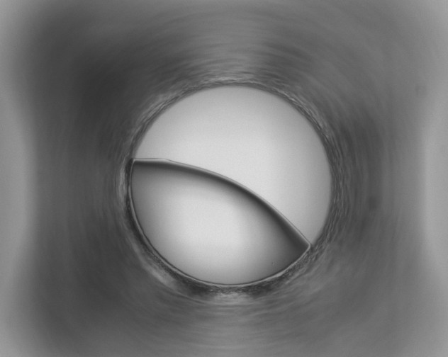 X0000112950397200908241031