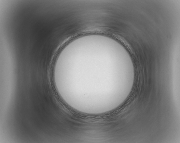 X0000112950399200908241031