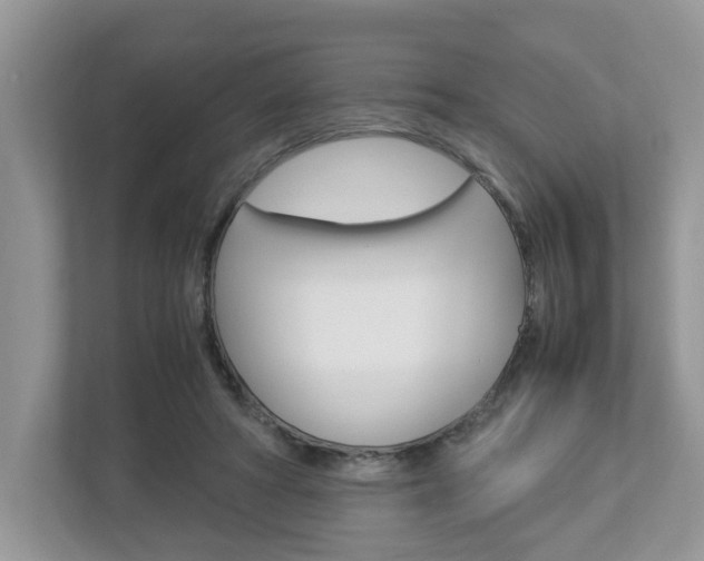 X0000112950402200908241031