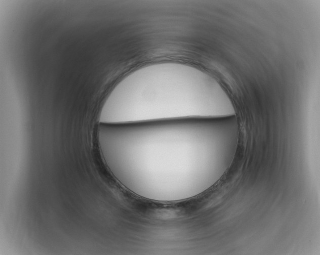 X0000112950404200908241031