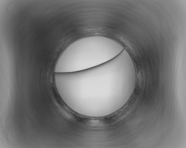 X0000112950406200908241031