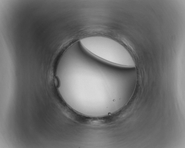 X0000112950407200908241031