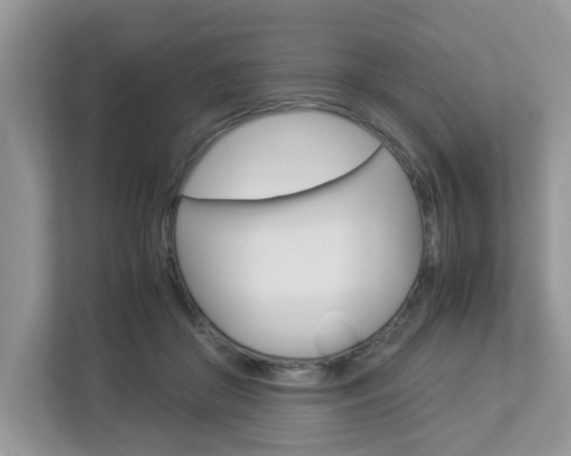 X0000112950410200908241031