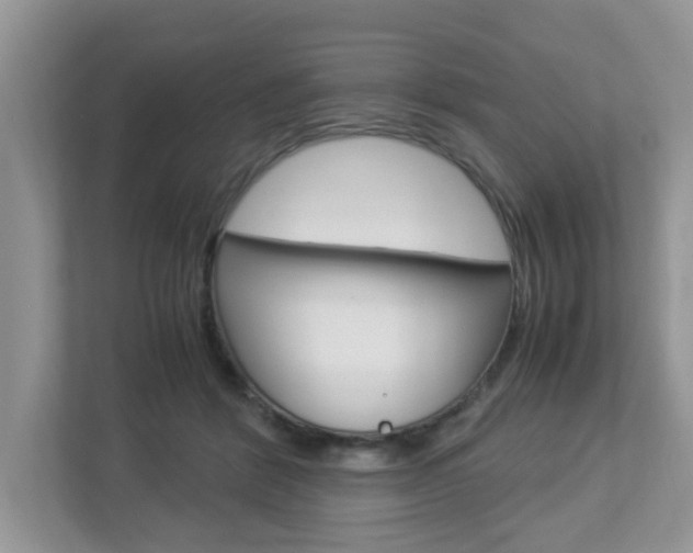 X0000112950412200908241031